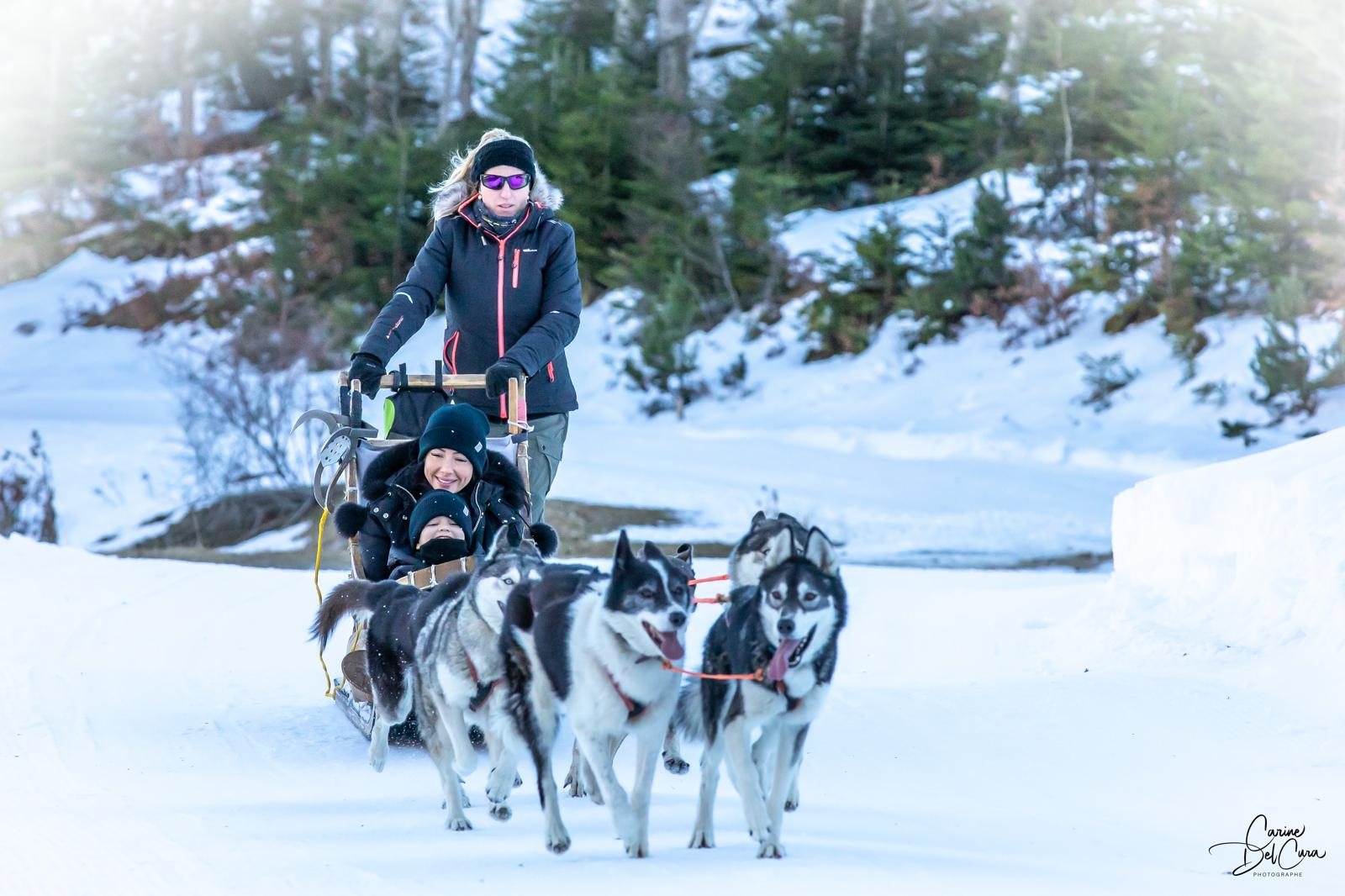 Schlitten, gezogen von den Huskys des Rudels im Schnee von Mijanès