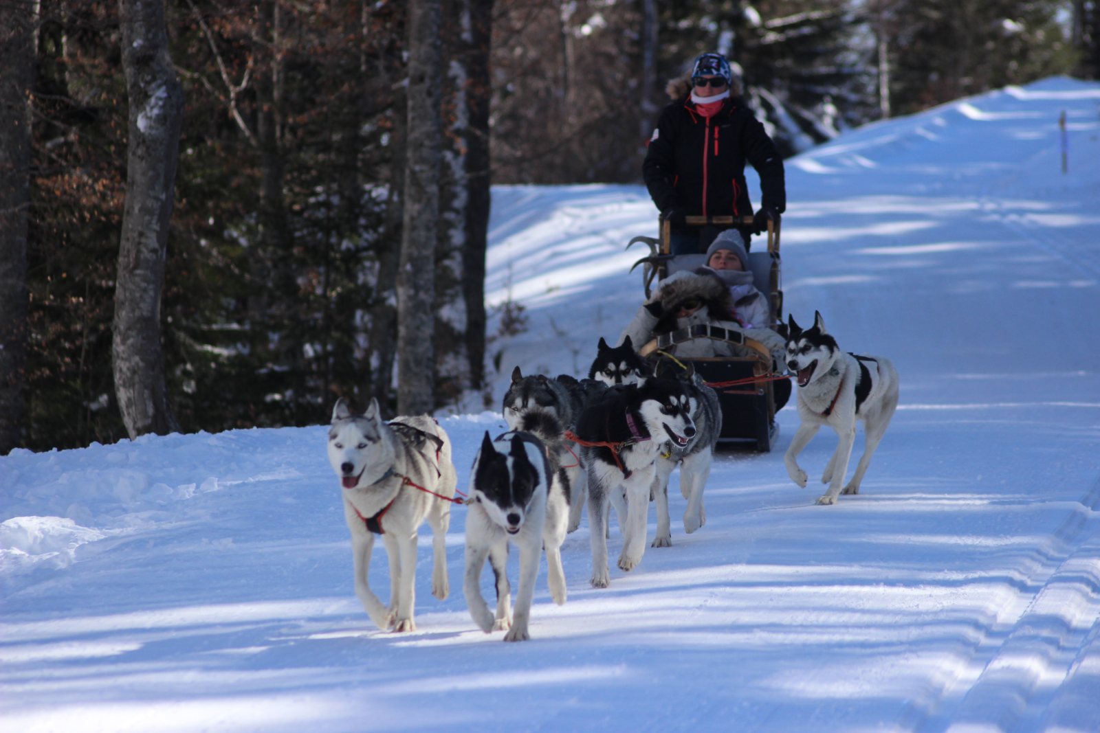 Lise Jourdes et la meute Husky Évasion à Mijanès