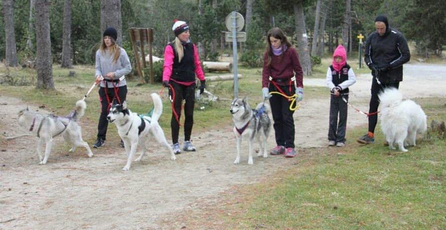 Canicross hike and snowshoe canicross — photo 2