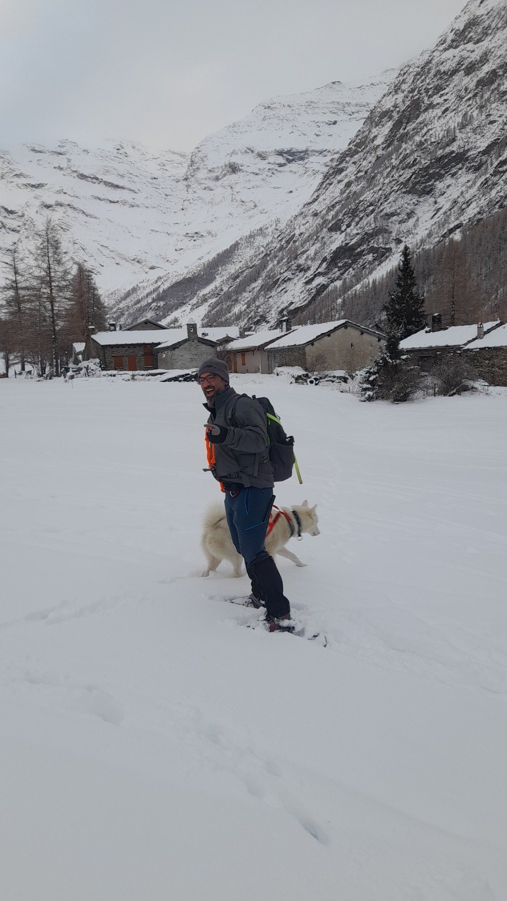 Schneeschuh-Canicross: Wanderer auf Schneeschuhen mit einem Husky
