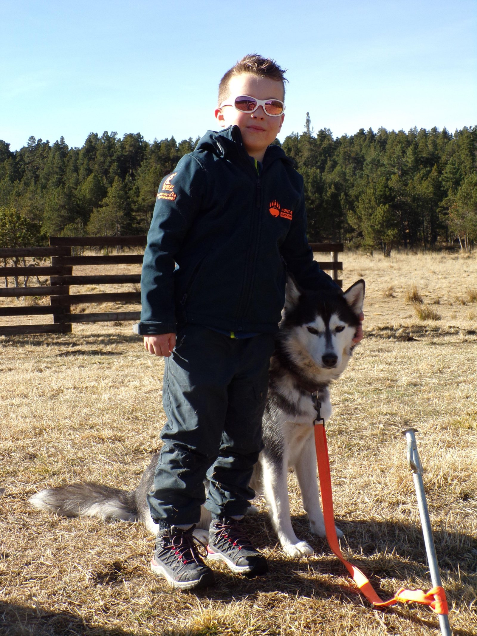 Little mushers — photo 2
