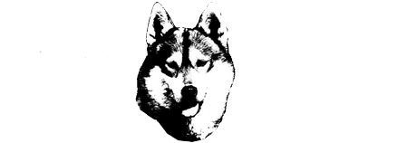 Husky Évasion