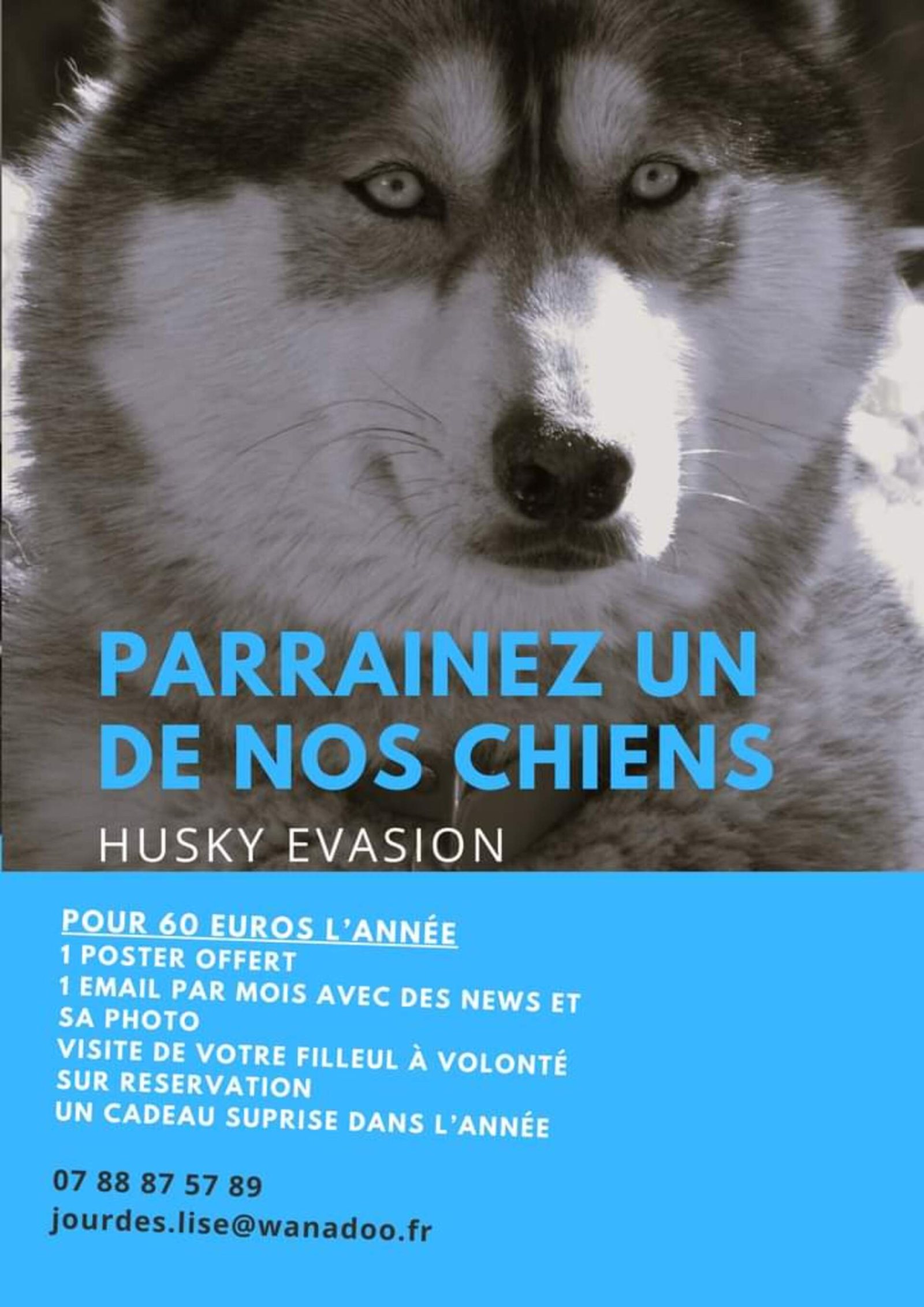 Das Patenschaftsplakat von Husky Évasion